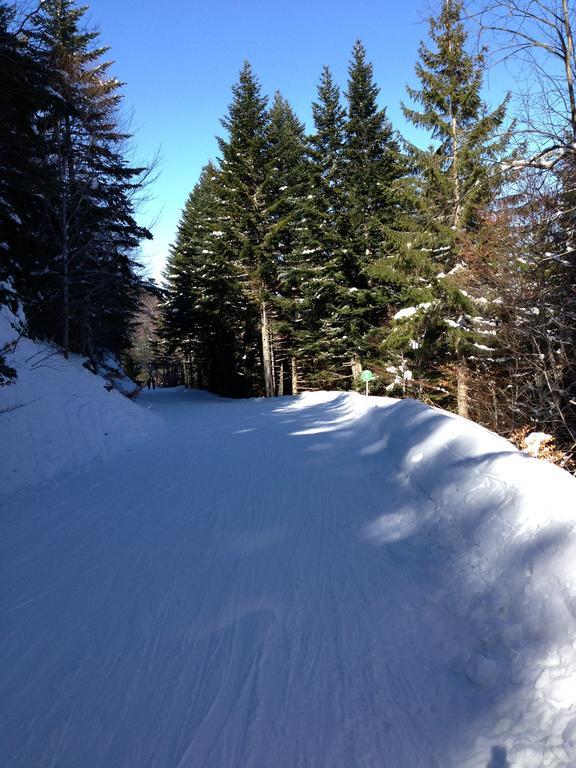 Soleil Des Thermes 2 Appartement Le Mont-Dore
